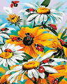 Malowanie po numerach Polne kwiaty M1994YD