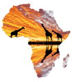 Malowanie po numerach Kontynent afrykański M992182