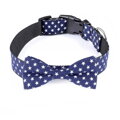 Muszka dla psa P211