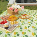Koc piknikowy 4868