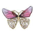Broszką Motyl 340013