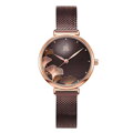 Damski zegarek SK 30139