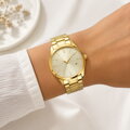 Pasek do zegarka 3312 Gold
