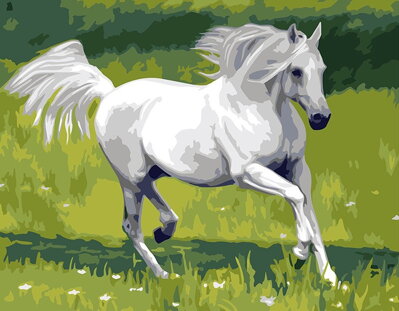 Malowanie po numerach Biały koń M1285