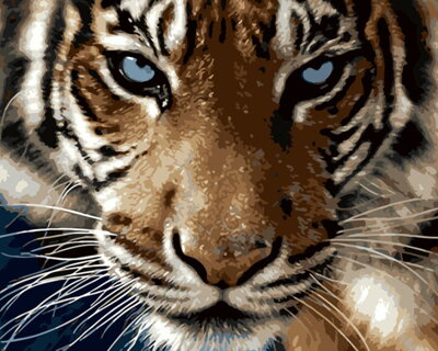Malowanie po numerach Tygrys M1373
