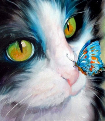 Malowanie po numerach Kotek z motylem M169YH