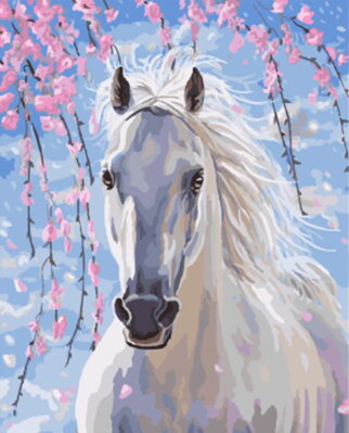 Malowanie po numerach Biały koń M991642