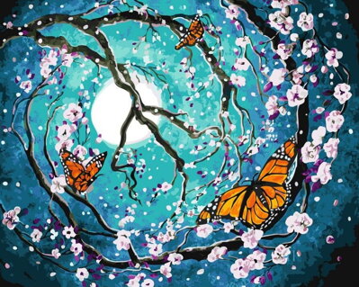 Malowanie po numerach Nocne motyle M992757