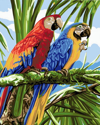 Malowanie po numerach Papugi M1264