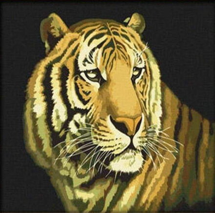 Malowanie po numerach Tygrys M9578