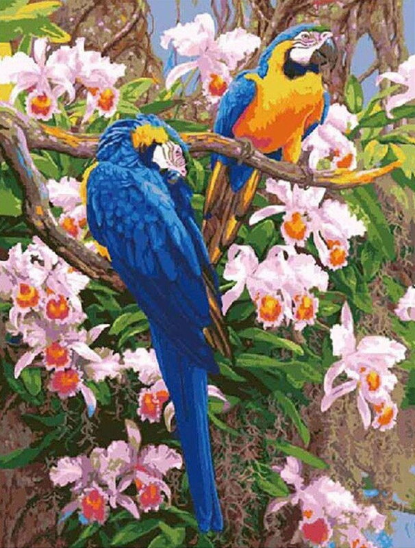 Malowanie po numerach Papugi M1337